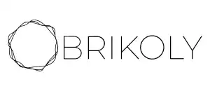 действующие промокоды BRIKOLY