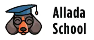 Промокод на покупку в Allada School