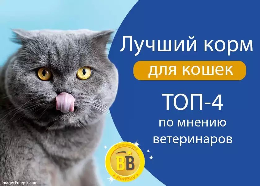 Бюджетный корм для кошек хорошего качества